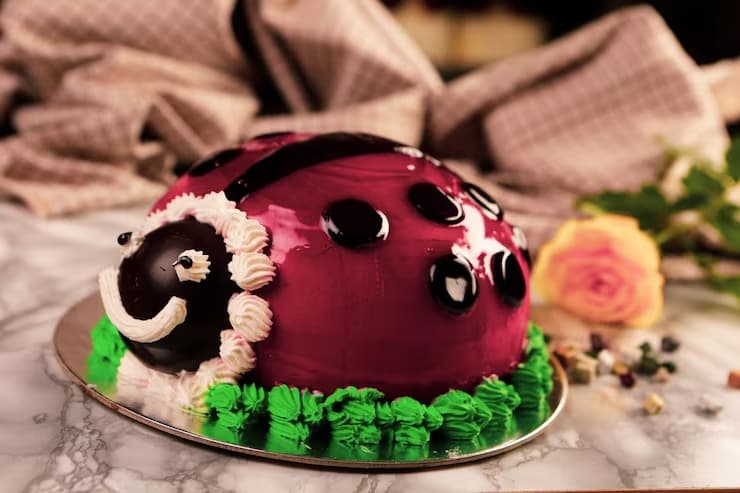 Cake 6